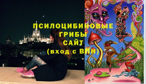 бутират Алексин