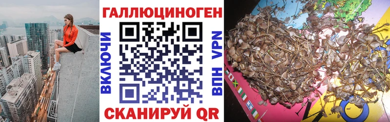 Псилоцибиновые грибы Psilocybine cubensis  где купить наркоту  Константиновск 