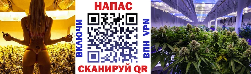 Марихуана план  blacksprut зеркало  Константиновск 